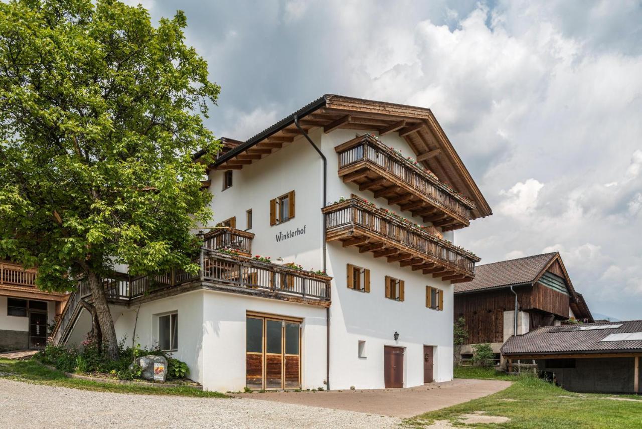 App Dolomiten Winklerhof ヴィッランドロ エクステリア 写真